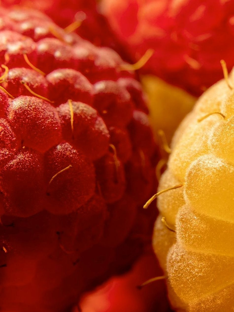 El Dúo de Frutas