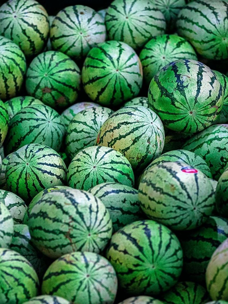 Las Bayas Estrella